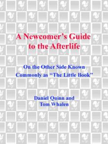 A Newcomer's Guide to the Afterlife