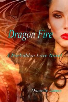Dragon Fire (The Forbidden Love Series)