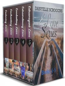 E Love Series Box Set
