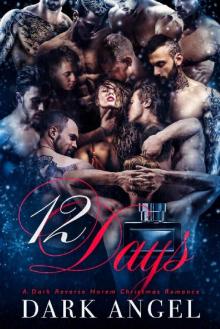 12 Days: A Dark Reverse Harem Christmas Romance