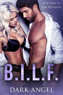 B.I.L.F.: A Brother In Law Romance