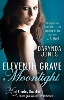 Eleventh Grave in Moonlight (Charley Davidson Book 11)