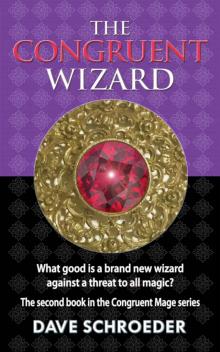 The Congruent Wizard (The Congruent Mage Series Book 2)