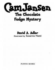 The Chocolate Fudge Mystery The Chocolate Fudge Mystery