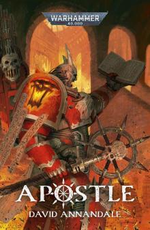 Apostle Apostle