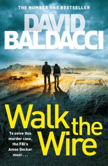Walk the Wire Walk the Wire