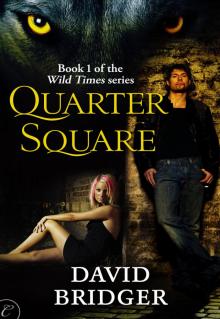 Quarter Square Quarter Square
