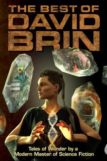 The Best of David Brin