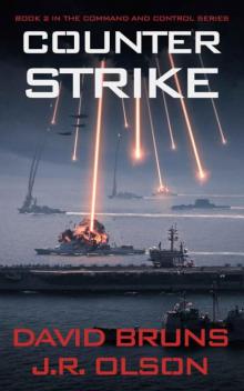 Counter Strike (Command and Control Book 2) Counter Strike (Command and Control Book 2)
