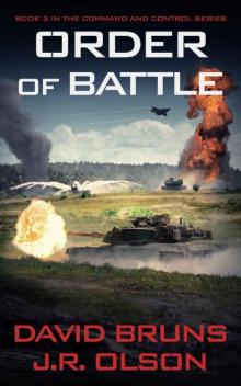 Order of Battle (Command and Control Book 3)