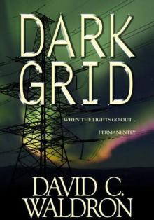 Dark Grid (Book 1)