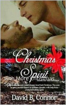 Christmas Spirit: with More Christmas Spirits