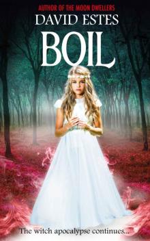 Boil (Salem's Revenge Book 2)