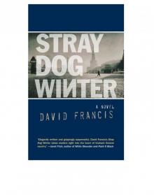 Stray Dog Winter Stray Dog Winter