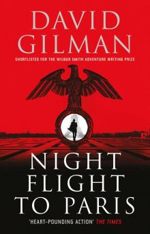 Night Flight to Paris Night Flight to Paris