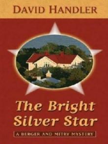 The Bright Silver Star bam-3
