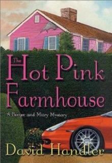The Hot Pink Farmhouse bam-2