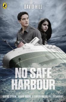 No Safe Harbour