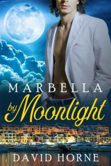 Marbella by Moonlight Marbella by Moonlight