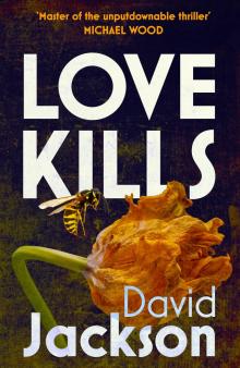 Love Kills: A tense, gripping thriller full of twists and turns