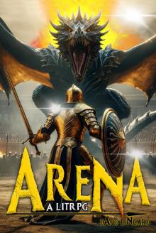 The Arena: A LitRPG
