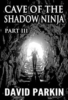 Cave of the Shadow Ninja: Part III
