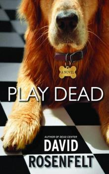 Play Dead ac-6