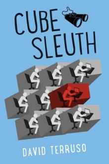 Cube Sleuth