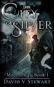 The City of Silver The City of Silver