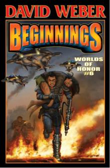 Beginnings-eARC Beginnings-eARC