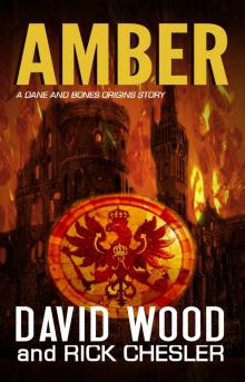 Amber Amber