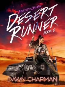 Desert Runner