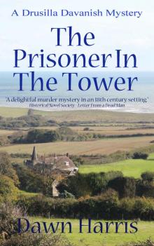 The Prisoner in the Tower
