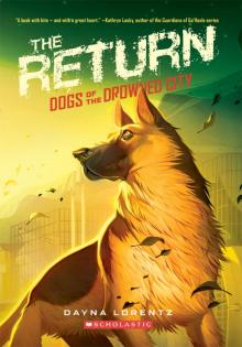 The Return The Return