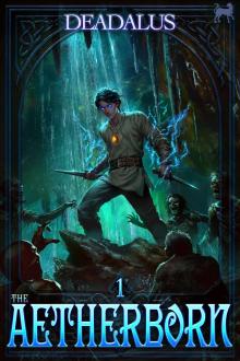 The Aetherborn 1: A LitRPG Adventure