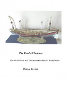 The Beetle Whaleboat