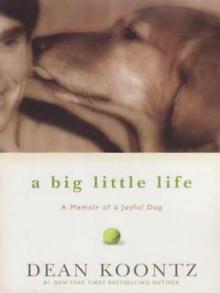 A Big Little Life A Big Little Life