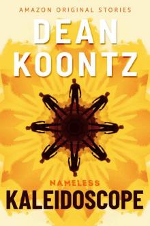 Kaleidoscope (Nameless: Season Two)