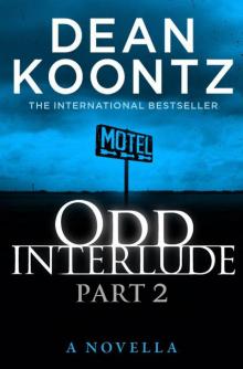 Odd Interlude #2