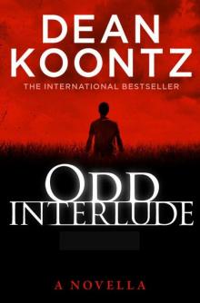 Odd Interlude ot-5
