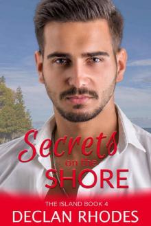 Secrets on the Shore: The Island Book 4