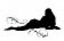 Bitch A New Beginning (Bitch Series)