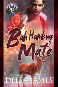 Bah Humbug Mate: A Small Town Grumpy/Sunshine Shifter Romance