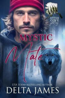 Mystic Mate: A Small Town Shifter Romance