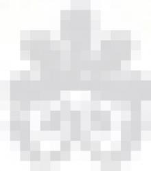 The Accidental Bride