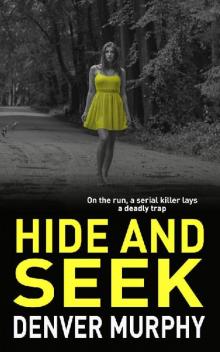 Hide and Seek