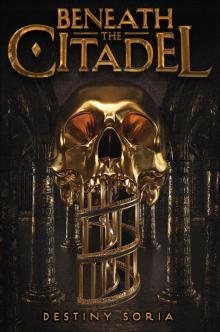 Beneath the Citadel Beneath the Citadel