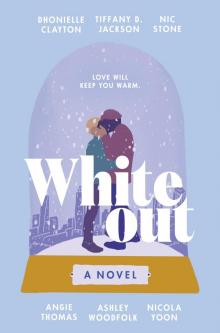 Whiteout: a Novel