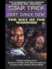 The Way of the Warrior The Way of the Warrior