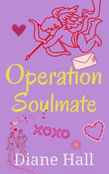 Operation Soulmate